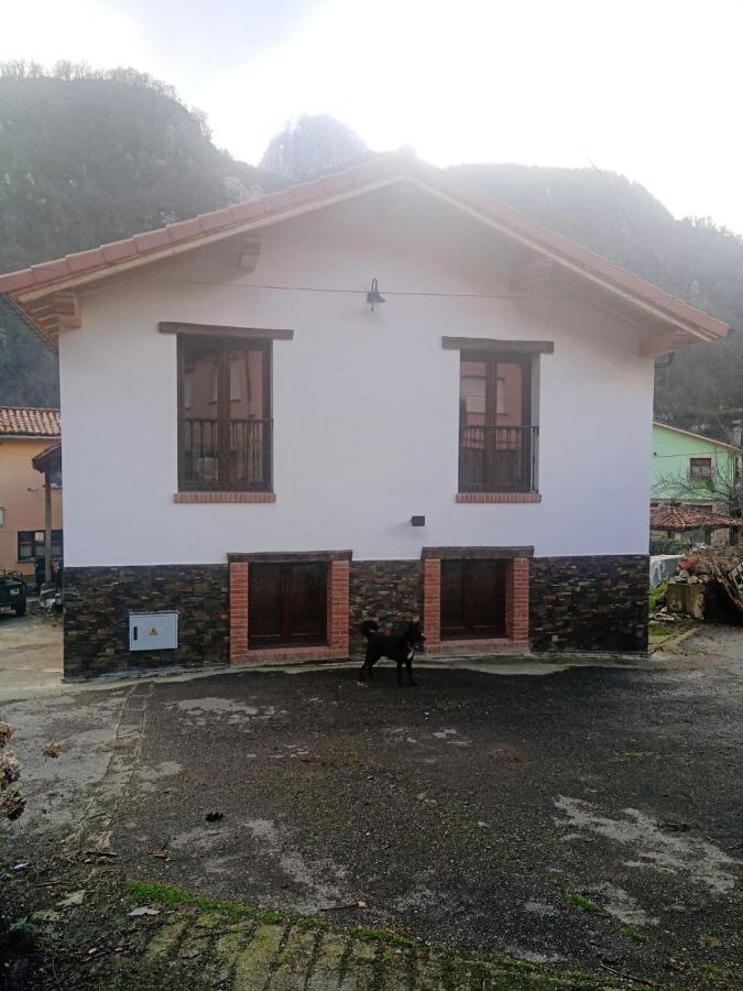 Sobrefoz Casa Rural Gueilones, Parque Natural De Ponga מראה חיצוני תמונה